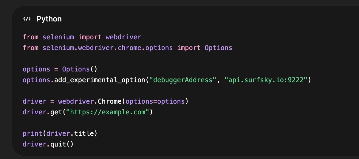 Selenium connecting to a remote Chrome instance using debugger address